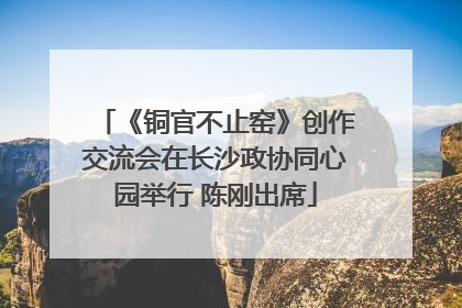 《铜官不止窑》创作交流会在长沙政协同心园举行 陈刚出席