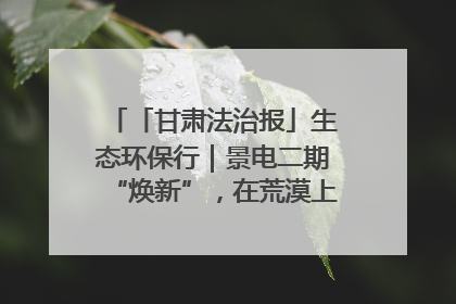 「甘肃法治报」生态环保行｜景电二期“焕新”，在荒漠上筑起一道绿色长城