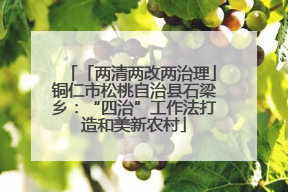 「两清两改两治理」铜仁市松桃自治县石梁乡：“四治”工作法打造和美新农村