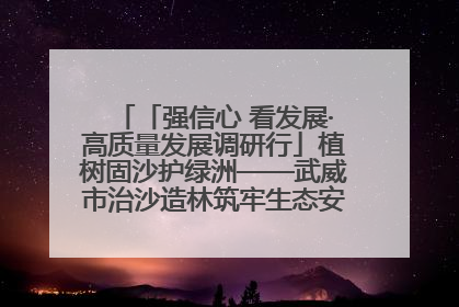 「强信心 看发展·高质量发展调研行」植树固沙护绿洲——武威市治沙造林筑牢生态安全屏障见闻
