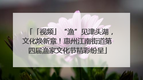 「视频」“渔”见津头湖，文化焕新章！惠州江南街道第四届渔家文化节精彩纷呈