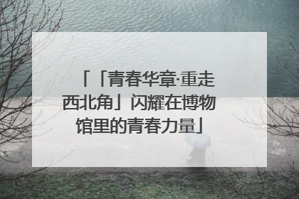 「青春华章·重走西北角」闪耀在博物馆里的青春力量