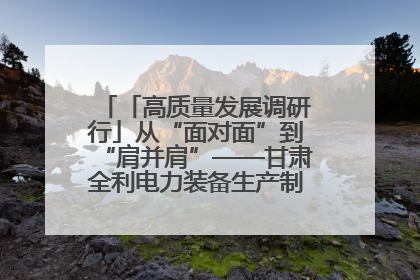 「高质量发展调研行」从“面对面”到“肩并肩”——甘肃全利电力装备生产制造项目一线见闻