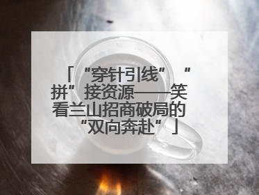 “穿针引线”“拼”接资源——笑看兰山招商破局的“双向奔赴”