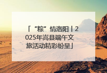 “粽”情洛阳丨2025年嵩县端午文旅活动精彩纷呈