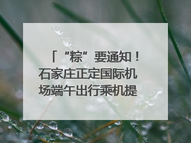 “粽”要通知！石家庄正定国际机场端午出行乘机提示，快来get
