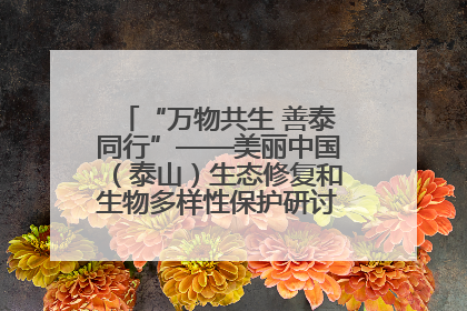 “万物共生 善泰同行”——美丽中国（泰山）生态修复和生物多样性保护研讨会成功举办