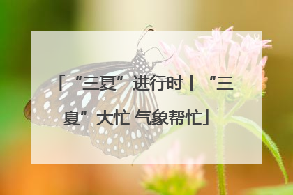 “三夏”进行时丨“三夏”大忙 气象帮忙