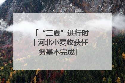 “三夏”进行时丨河北小麦收获任务基本完成