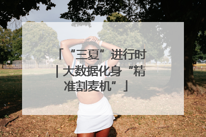 “三夏”进行时｜大数据化身“精准割麦机”