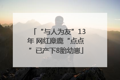 “与人为友”13年 网红麋鹿“点点”已产下8胎幼崽