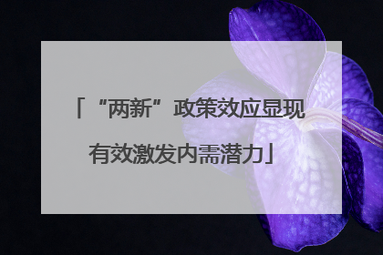 “两新”政策效应显现 有效激发内需潜力