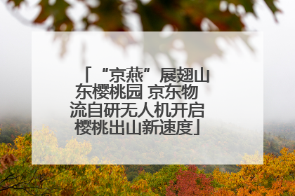 “京燕”展翅山东樱桃园 京东物流自研无人机开启樱桃出山新速度