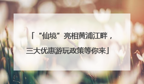 “仙境”亮相黄浦江畔，三大优惠游玩政策等你来