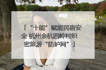 “十能”赋能民宿安全 杭州余杭四岭村织密旅游“防护网”