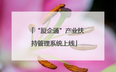 “厦企通”产业扶持管理系统上线