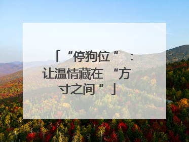 “停狗位 ”：让温情藏在 “方寸之间 ”