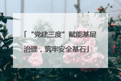 “党建三度”赋能基层治理，筑牢安全基石