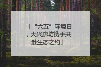 “六五”环境日，大兴廊坊携手共赴生态之约