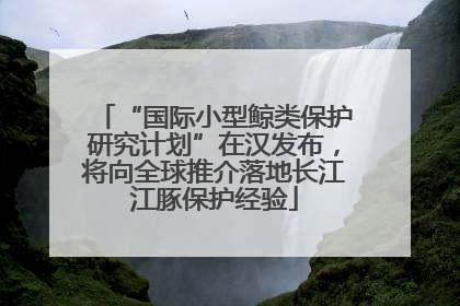“国际小型鲸类保护研究计划”在汉发布，将向全球推介落地长江江豚保护经验
