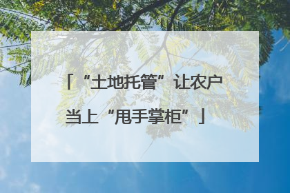 “土地托管”让农户当上“甩手掌柜”