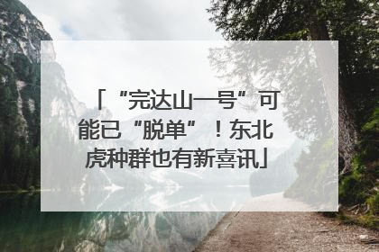 “完达山一号”可能已“脱单”！东北虎种群也有新喜讯
