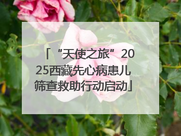 “天使之旅”2025西藏先心病患儿筛查救助行动启动