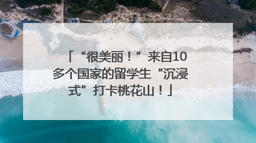 “很美丽！”来自10多个国家的留学生“沉浸式”打卡桃花山！