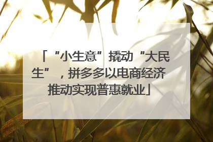 “小生意”撬动“大民生”，拼多多以电商经济推动实现普惠就业