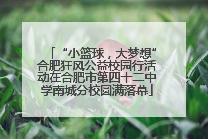“小篮球，大梦想”合肥狂风公益校园行活动在合肥市第四十二中学南城分校圆满落幕