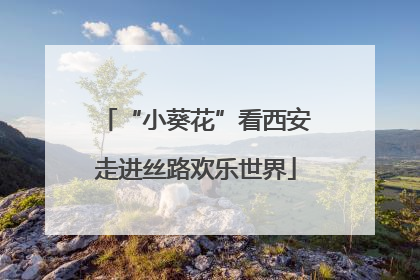 “小葵花”看西安走进丝路欢乐世界