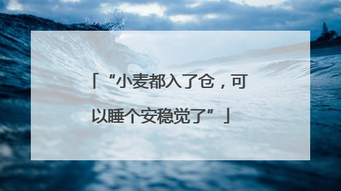 “小麦都入了仓，可以睡个安稳觉了”