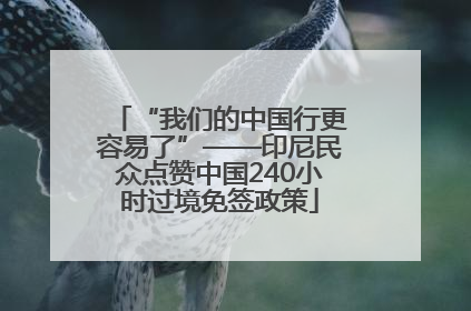 “我们的中国行更容易了”——印尼民众点赞中国240小时过境免签政策