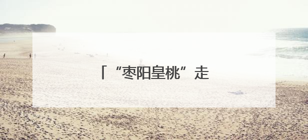 “枣阳皇桃”走进高校毕业季