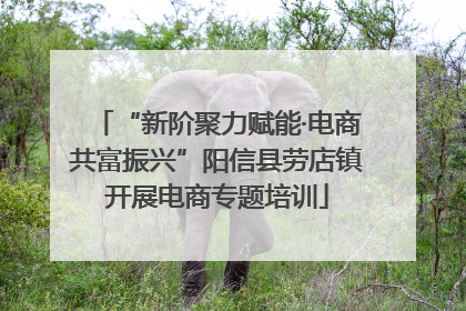 “新阶聚力赋能·电商共富振兴”阳信县劳店镇开展电商专题培训