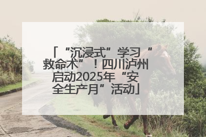 “沉浸式”学习“救命术”！四川泸州启动2025年“安全生产月”活动