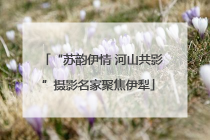 “苏韵伊情 河山共影”摄影名家聚焦伊犁