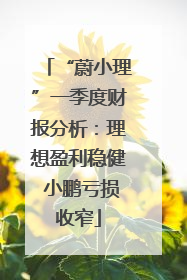 “蔚小理”一季度财报分析：理想盈利稳健 小鹏亏损收窄