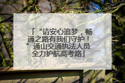 “请安心追梦，畅通之路有我们守护！”通山交通执法人员全力护航高考路