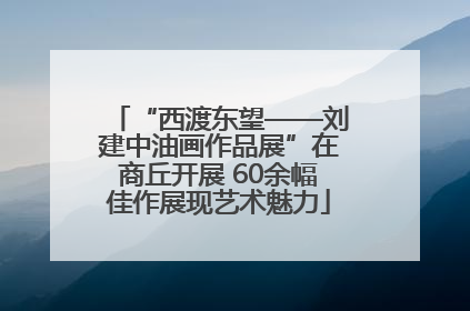 “西渡东望——刘建中油画作品展”在商丘开展 60余幅佳作展现艺术魅力