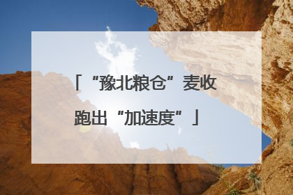 “豫北粮仓”麦收跑出“加速度”