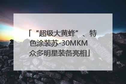 “超级大黄蜂”、特色涂装苏-30MKM 众多明星装备亮相