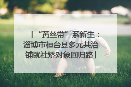 “黄丝带”系新生：淄博市桓台县多元共治铺就社矫对象回归路