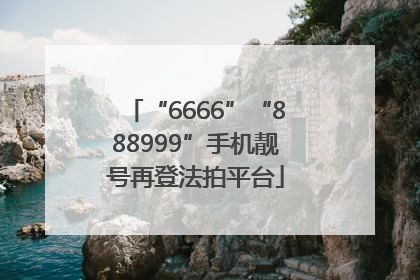 “6666”“888999”手机靓号再登法拍平台