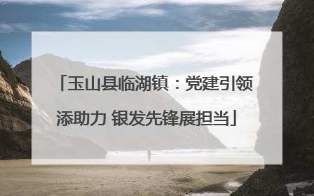 玉山县临湖镇：党建引领添助力 银发先锋展担当