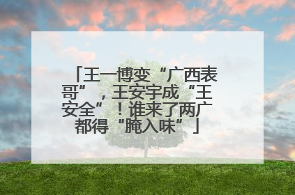王一博变“广西表哥”，王安宇成“王安全”！谁来了两广都得“腌入味”