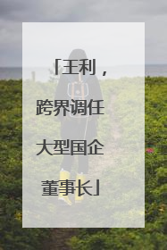 王利，跨界调任大型国企董事长