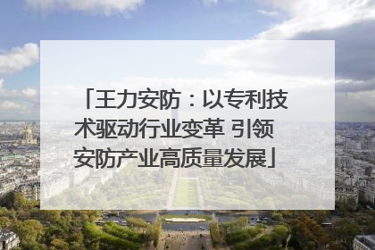王力安防：以专利技术驱动行业变革 引领安防产业高质量发展