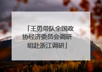 王勇带队全国政协经济委员会调研组赴浙江调研