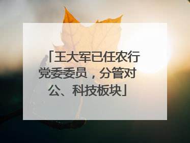 王大军已任农行党委委员，分管对公、科技板块